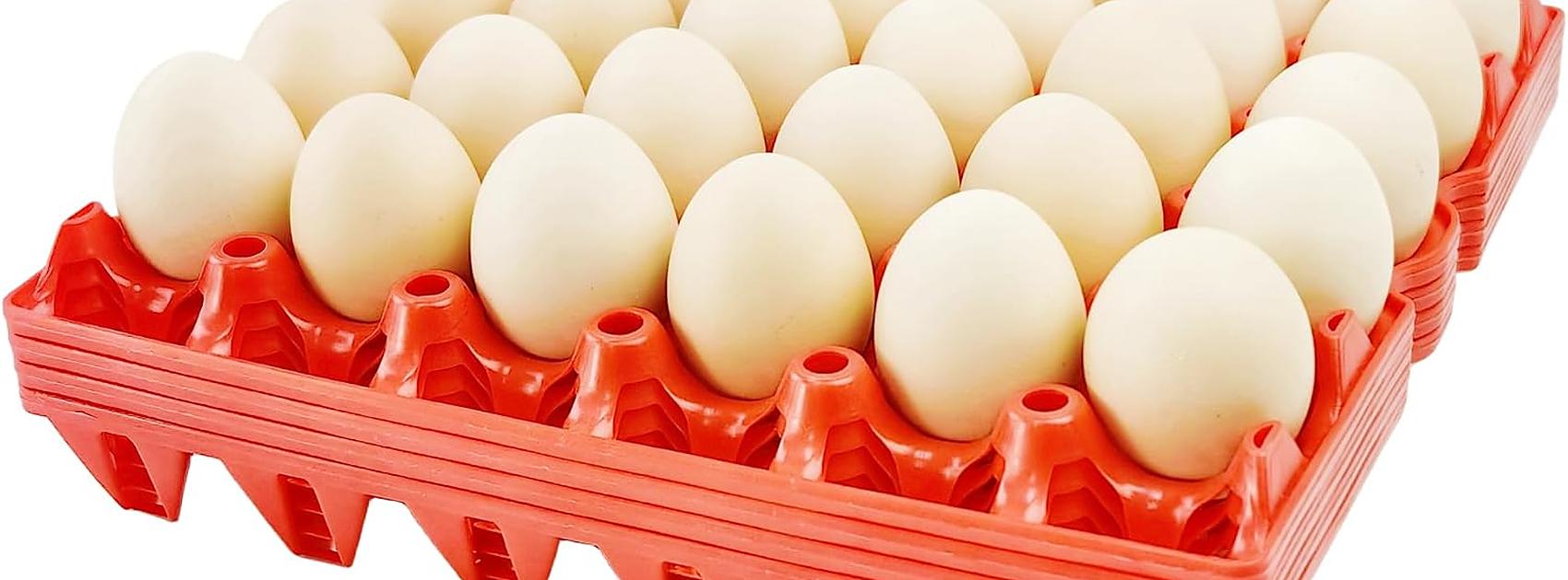 Tray of white eggs in a red plastic egg crate